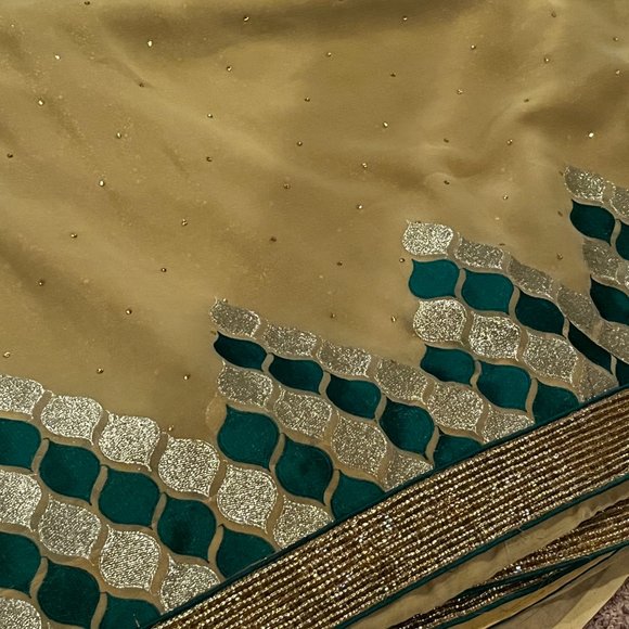 Pure Geogette embroidered designer Rangoli sequin saree - Picture 7 of 12